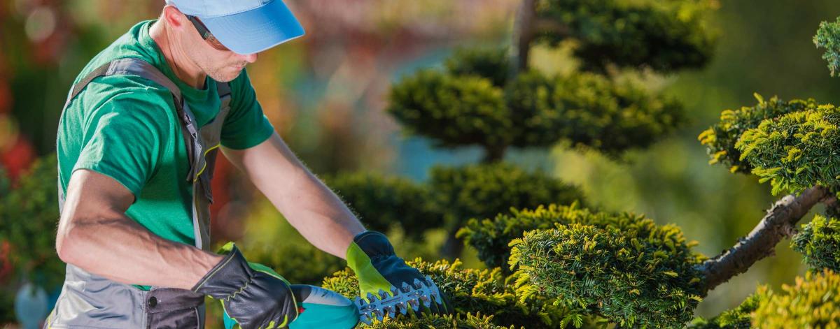 Un ouvrier paysagiste dans des espaces verts